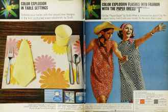 Better Homes & Gardens June 1966 Magazine Article: Page 10