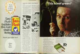 Better Homes & Gardens June 1966 Magazine Article: Page 22