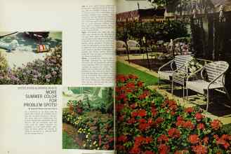 Better Homes & Gardens June 1966 Magazine Article: MORE SUMMER COLOR FOR PROBLEM SPOTS!