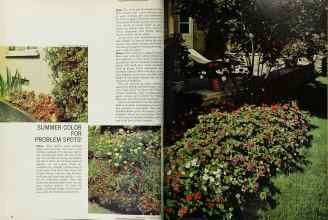 Better Homes & Gardens June 1966 Magazine Article: Page 56