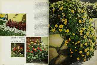 Better Homes & Gardens June 1966 Magazine Article: Page 58