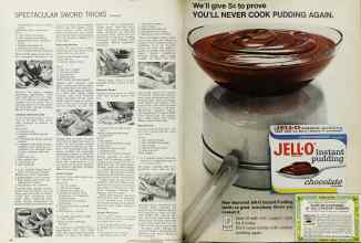 Better Homes & Gardens June 1966 Magazine Article: Page 98