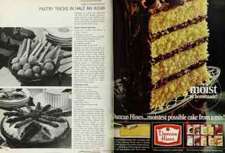 Better Homes & Gardens June 1966 Magazine Article: Page 102