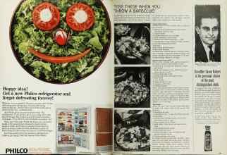 Better Homes & Gardens June 1966 Magazine Article: Page 108