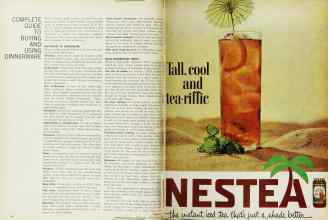 Better Homes & Gardens June 1966 Magazine Article: Page 118