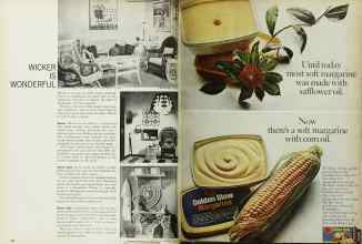 Better Homes & Gardens June 1966 Magazine Article: Page 122