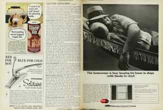 Better Homes & Gardens June 1966 Magazine Article: Page 134