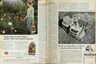 Better Homes & Gardens June 1966 Magazine Article: Page 136