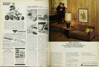 Better Homes & Gardens June 1966 Magazine Article: Page 148