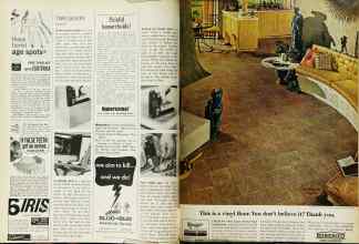 Better Homes & Gardens June 1966 Magazine Article: Page 150