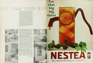 Better Homes & Gardens July 1966 Magazine Article: Page 22