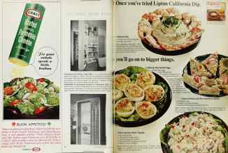 Better Homes & Gardens July 1966 Magazine Article: Page 24