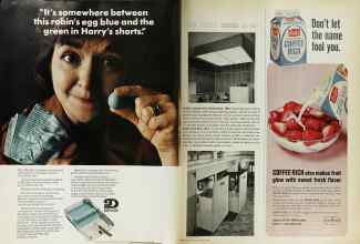 Better Homes & Gardens July 1966 Magazine Article: Page 28