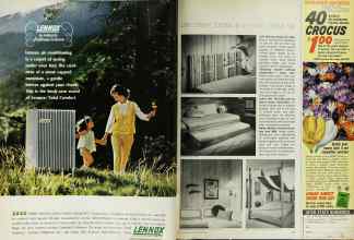 Better Homes & Gardens July 1966 Magazine Article: Page 34