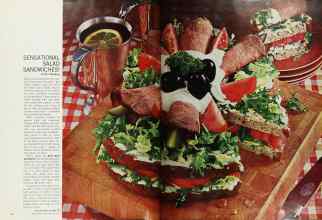 Better Homes & Gardens July 1966 Magazine Article: Page 66