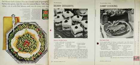 Better Homes & Gardens July 1966 Magazine Article: Page 82