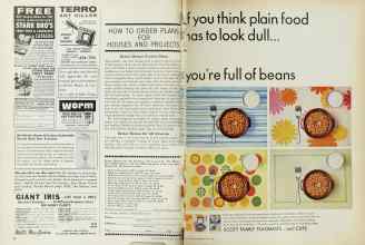 Better Homes & Gardens July 1966 Magazine Article: Page 98