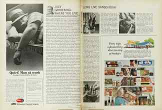 Better Homes & Gardens July 1966 Magazine Article: Page 100