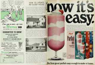 Better Homes & Gardens September 1966 Magazine Article: Page 116