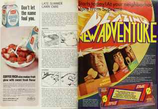 Better Homes & Gardens September 1966 Magazine Article: Page 118