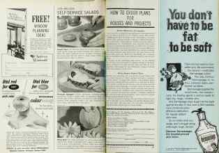 Better Homes & Gardens September 1966 Magazine Article: Page 122