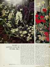 Better Homes & Gardens October 1966 Magazine Article: MAKE A LITTLE COLOR WORK BIG!