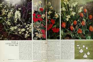 Better Homes & Gardens October 1966 Magazine Article: Page 76