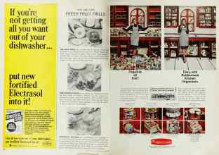 Better Homes & Gardens October 1966 Magazine Article: Page 102