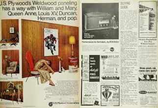 Better Homes & Gardens October 1966 Magazine Article: Page 161