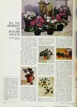 Better Homes & Gardens November 1966 Magazine Article: ALL THE ANSWERS ON AFRICAN VIOLETS