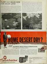 Better Homes & Gardens November 1966 Magazine Article: PLANT LILY BULBS NOW FOR COLOR LATER