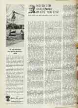 Better Homes & Gardens November 1966 Magazine Article: NOVEMBER GARDENING WHERE YOU LIVE!