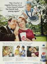 Better Homes & Gardens November 1966 Magazine Article: Page 204