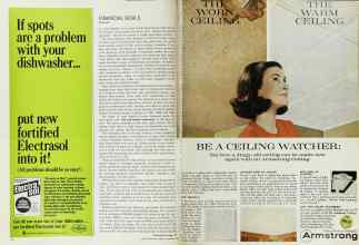 Better Homes & Gardens November 1966 Magazine Article: Page 14