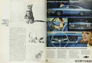 Better Homes & Gardens November 1966 Magazine Article: Page 42