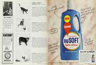 Better Homes & Gardens November 1966 Magazine Article: Page 44