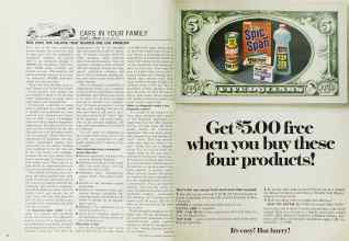 Better Homes & Gardens November 1966 Magazine Article: Page 46