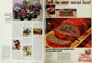 Better Homes & Gardens November 1966 Magazine Article: Page 84