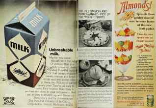 Better Homes & Gardens November 1966 Magazine Article: Page 98