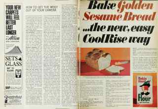 Better Homes & Gardens November 1966 Magazine Article: Page 108