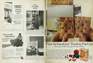 Better Homes & Gardens November 1966 Magazine Article: Page 110