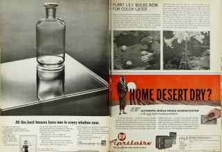 Better Homes & Gardens November 1966 Magazine Article: Page 114