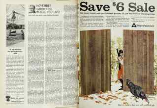 Better Homes & Gardens November 1966 Magazine Article: Page 116