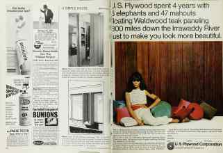 Better Homes & Gardens November 1966 Magazine Article: Page 140