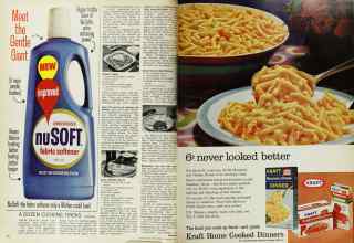 Better Homes & Gardens January 1967 Magazine Article: Page 92