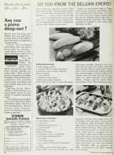 Better Homes & Gardens February 1967 Magazine Article: DO YOU KNOW THE BELGIAN ENDIVE?