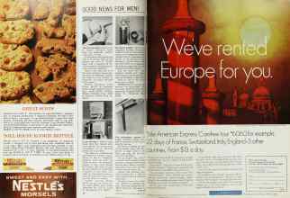 Better Homes & Gardens February 1967 Magazine Article: Page 46