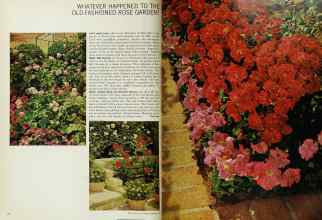 Better Homes & Gardens February 1967 Magazine Article: Page 66