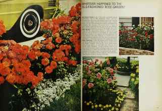 Better Homes & Gardens February 1967 Magazine Article: Page 68