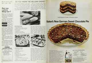 Better Homes & Gardens February 1967 Magazine Article: Page 88